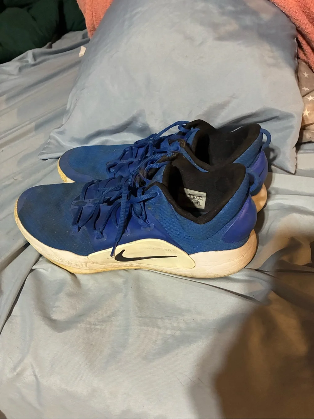Nike Men's Royal Blue and White Performance Trainers